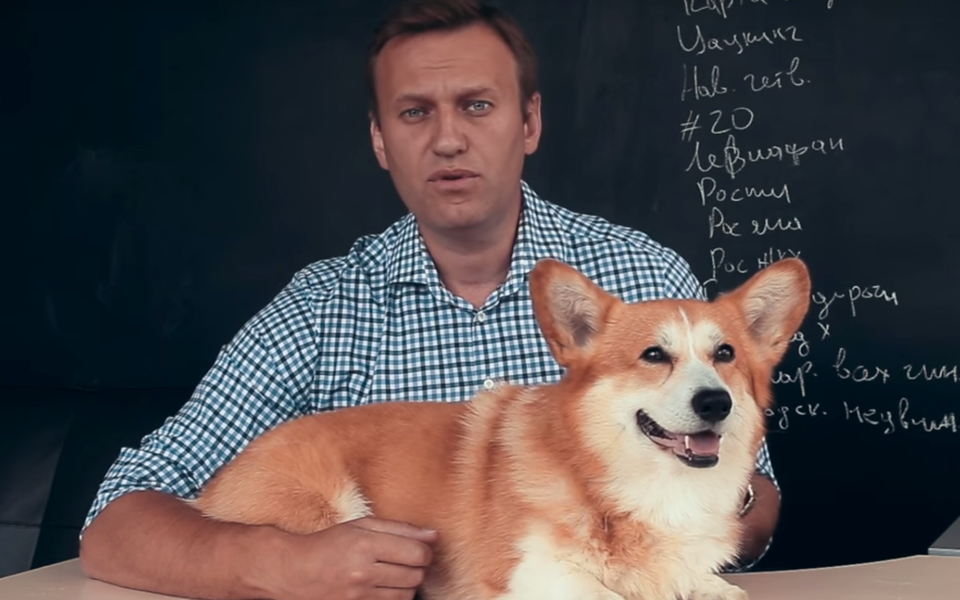 Алексей Навальный о полетах собак Шувалова